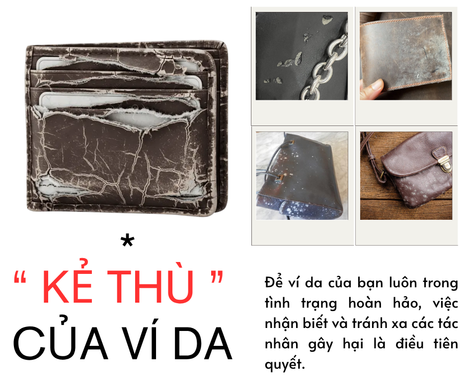 Hướng Dẫn Bảo Quản Ví Da Luôn Như Mới 